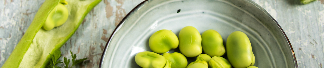 L-DOPA (lewodopa) – naturalny aminokwas z Mucuna pruriens. Co warto wiedzieć?