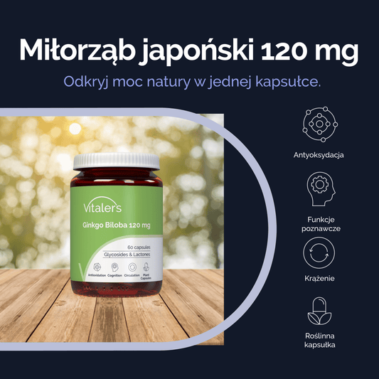 Vitaler's Ekstrakty Ginkgo Biloba 120 mg - 60 kapsułek
