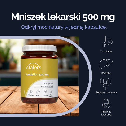 Vitaler's Ekstrakty Mniszek lekarski 500 mg - 60 kapsułek